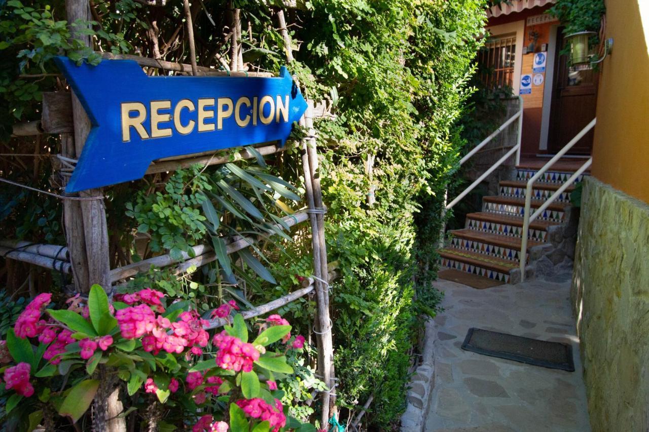 Apartamentos Turisticos Trajano Bolonia Exterior photo